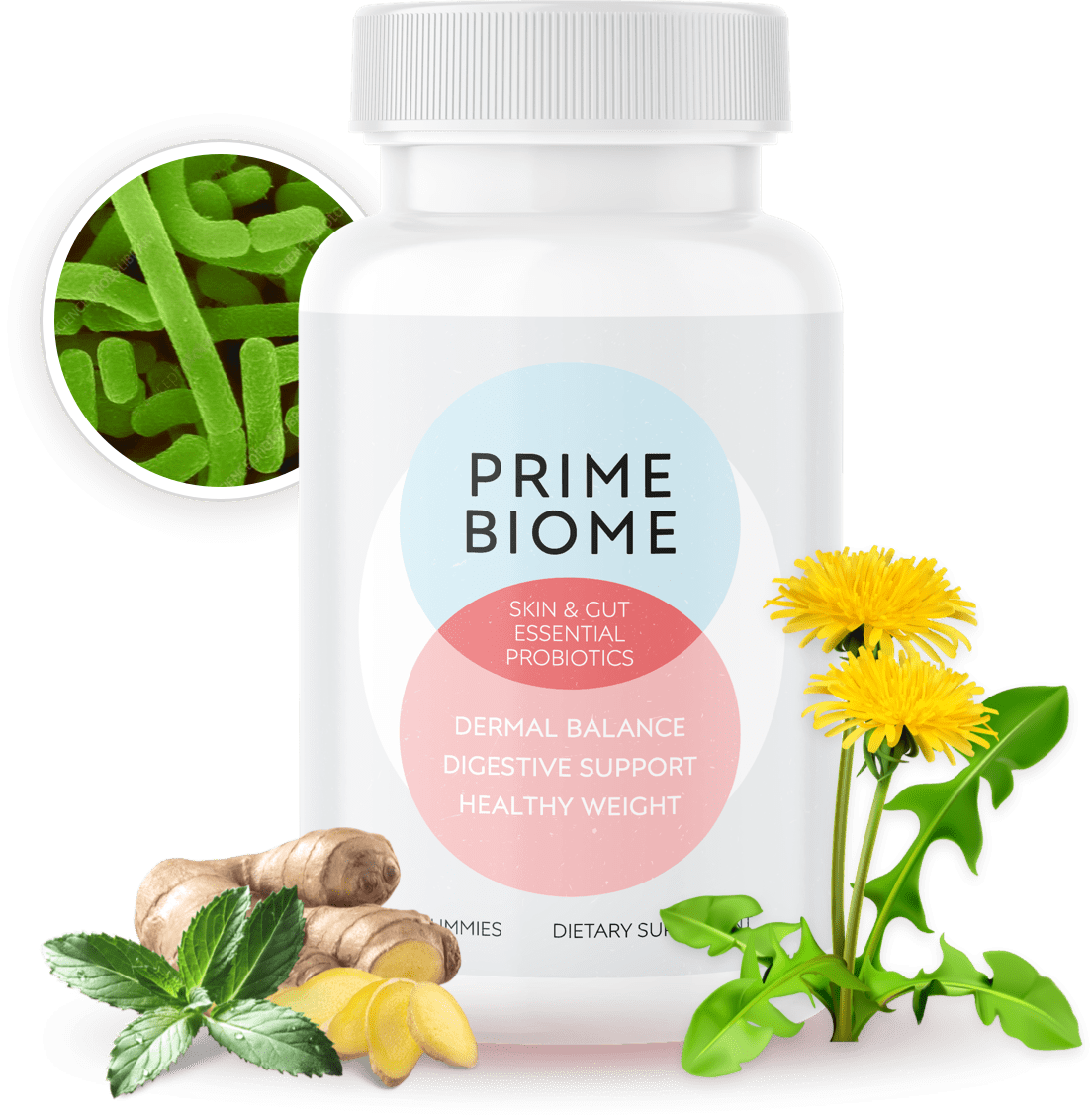 PrimeBiome Gummies